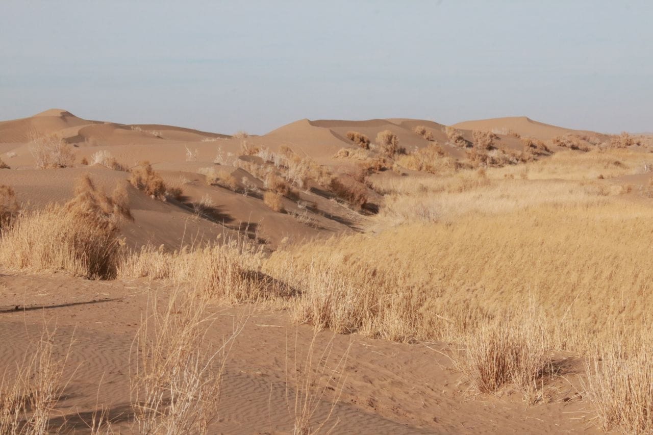 چشم‌انداز کویر